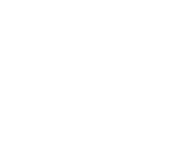 Hibbits Risk Strategies logo